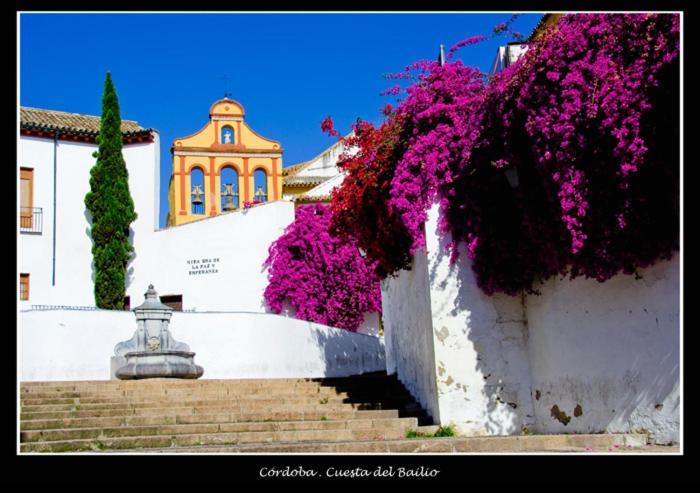 Centro Historico Cristo De Los Faroles La Preferida Córdoba Exteriör bild